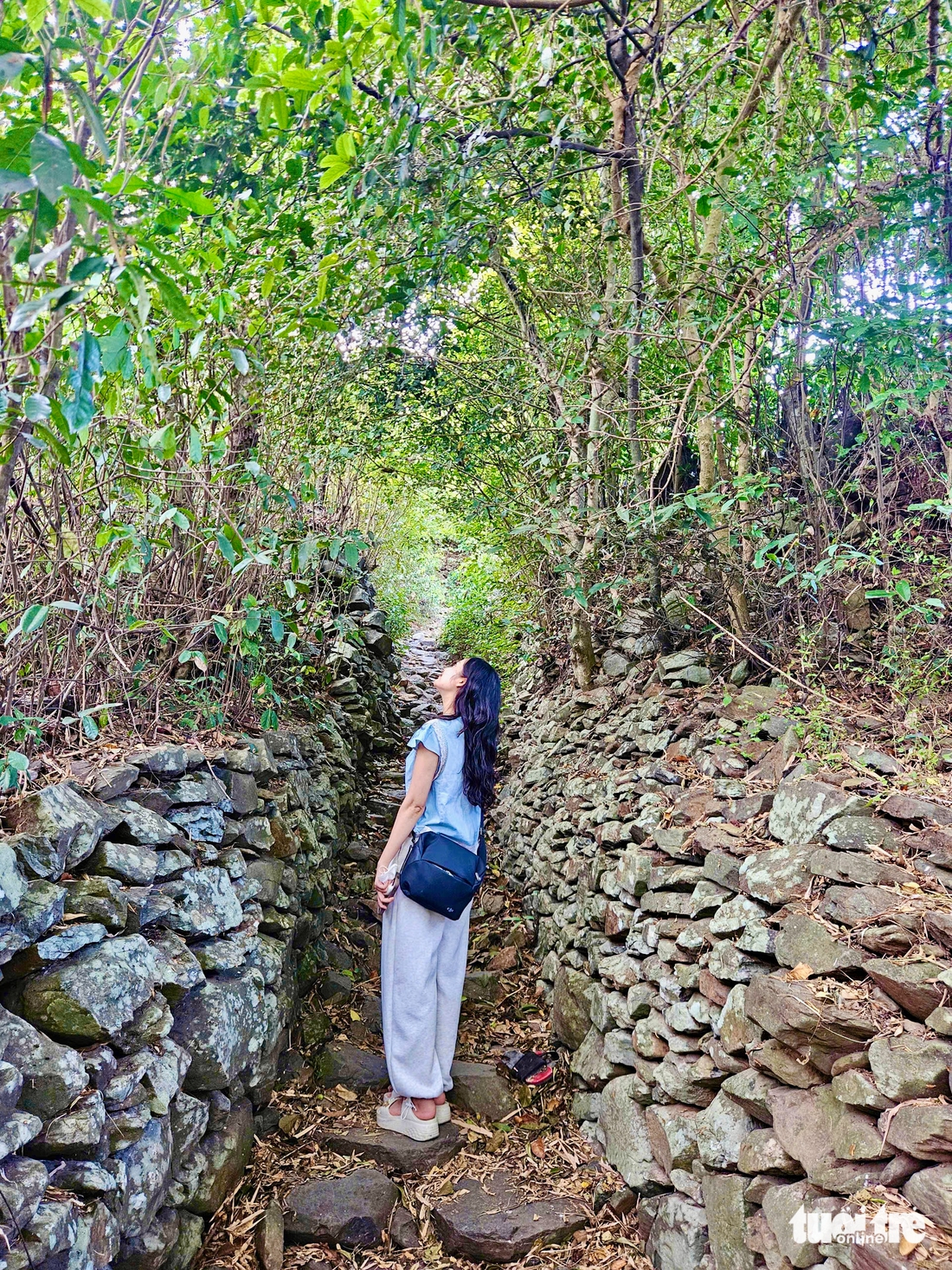 Phú Yên - Ảnh 2.