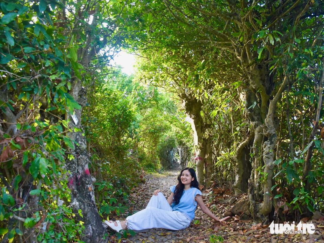 Phú Yên - Ảnh 4.