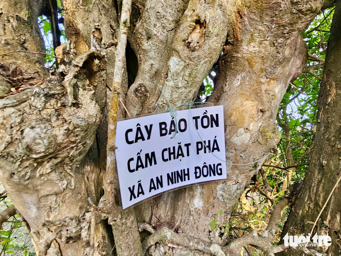 Phú Yên - Ảnh 5.