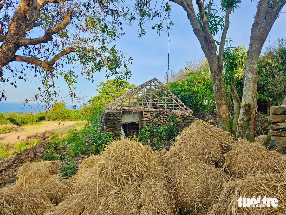 Phú Yên - Ảnh 6.
