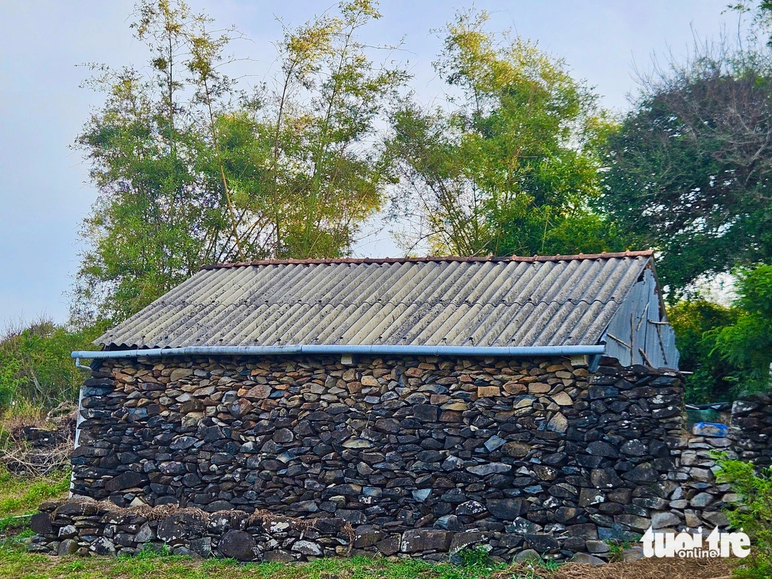 Phú Yên - Ảnh 8.