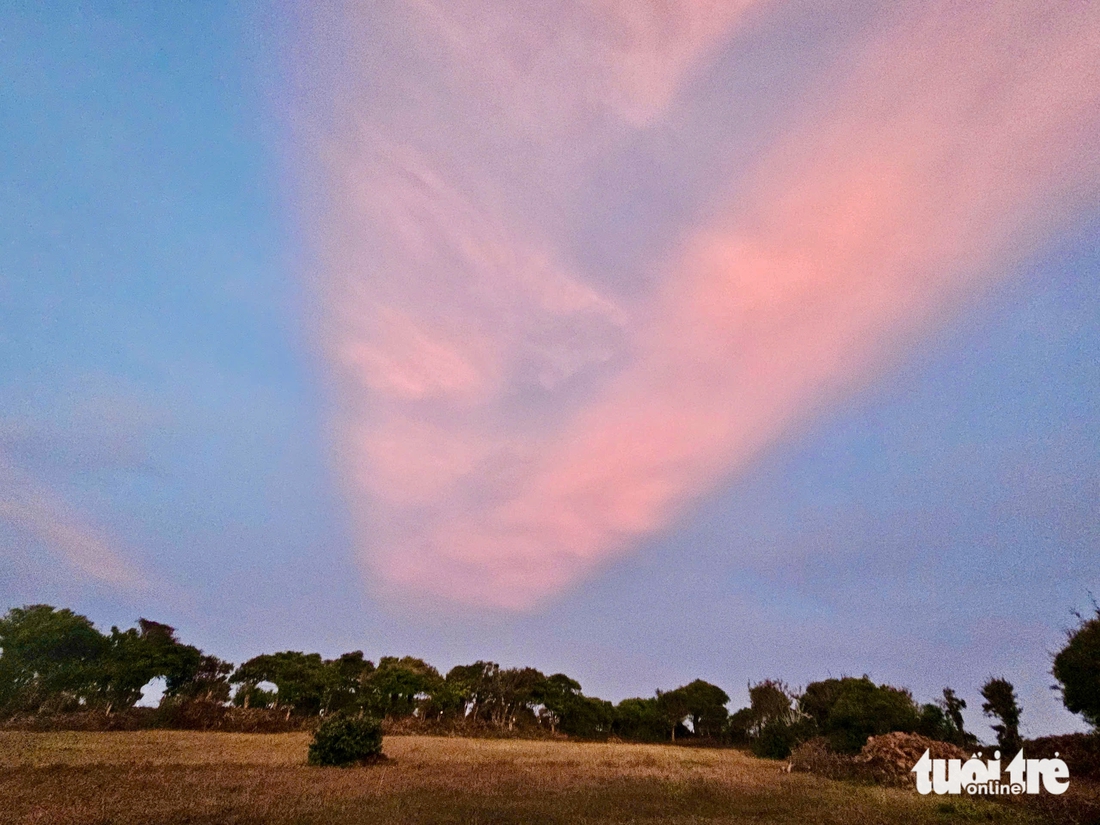 Phú Yên - Ảnh 12.