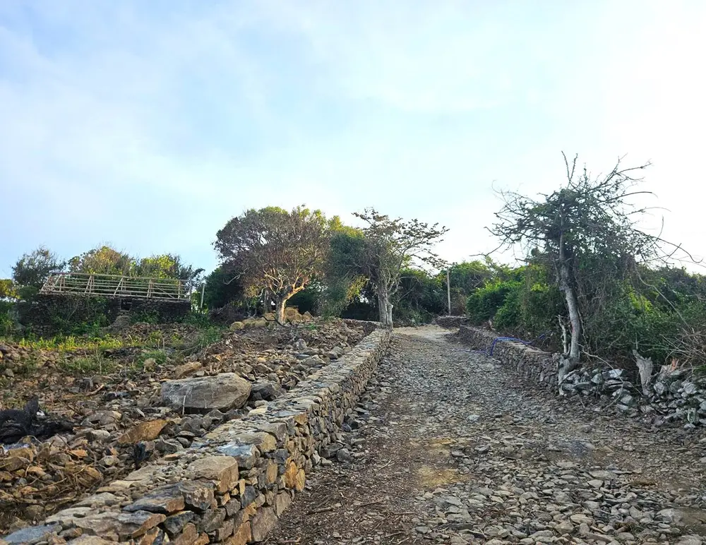 Ngôi làng đá độc đáo bên di sản Gành Đá Đĩa - ảnh 2